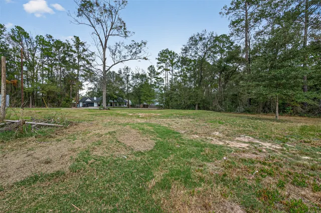 a view of a field with trees