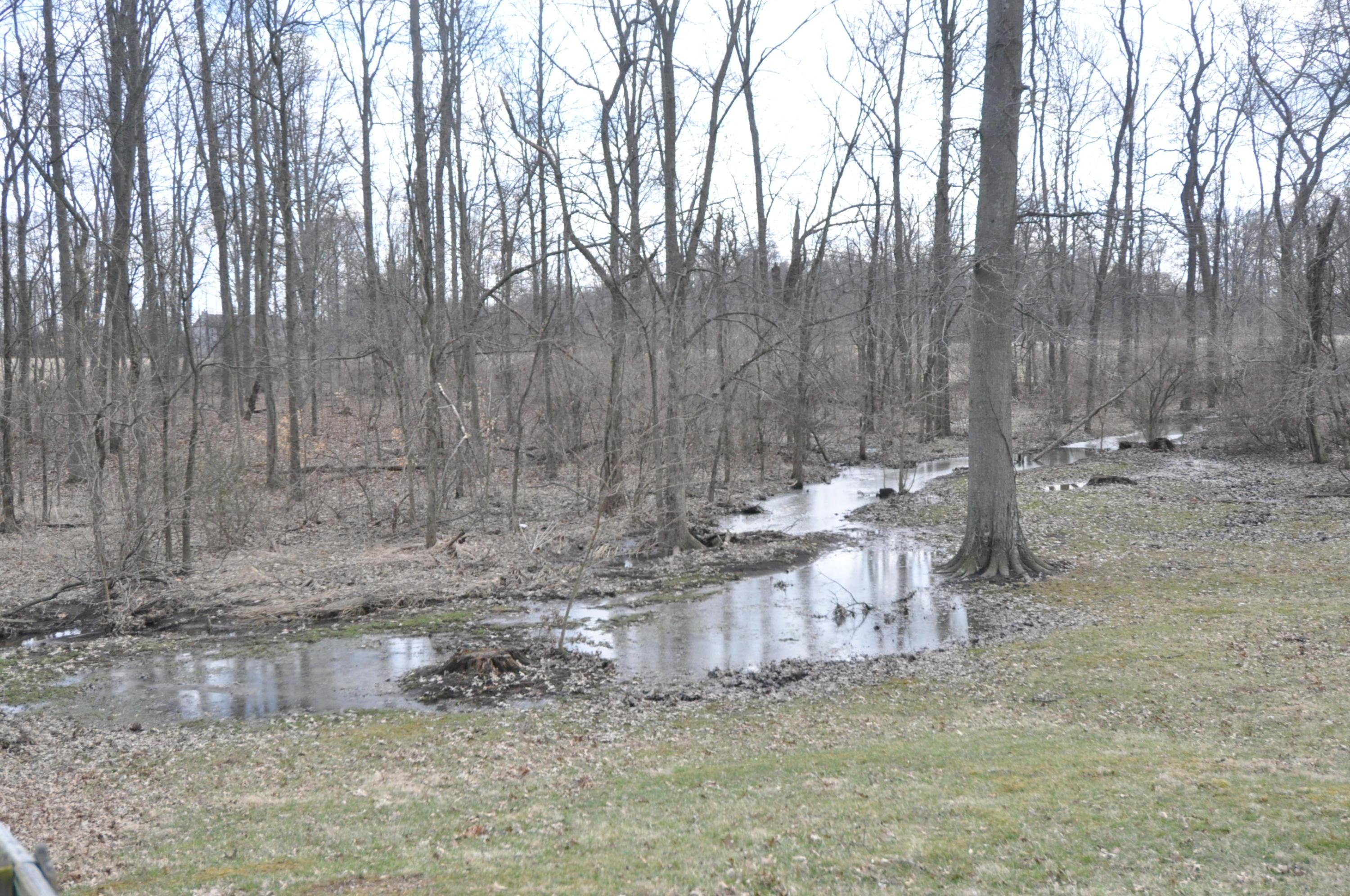 1785 Bunty Station Road Delaware, OH 43015 - Photo 46 of 56