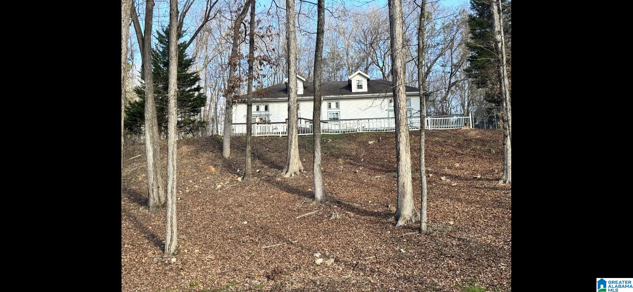 1020 Springhill Road Talladega, AL 35160 - Photo 1 of 40