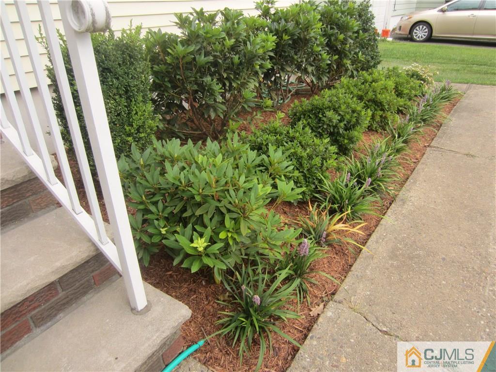 336 Old Post Road Edison, NJ 08817 - Photo 4 of 15 a view of a garden with plants