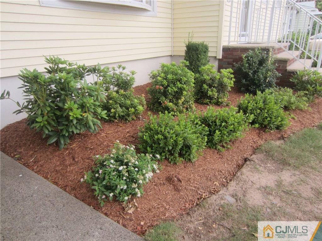 336 Old Post Road Edison, NJ 08817 - Photo 5 of 15 a plant that is in front of a house