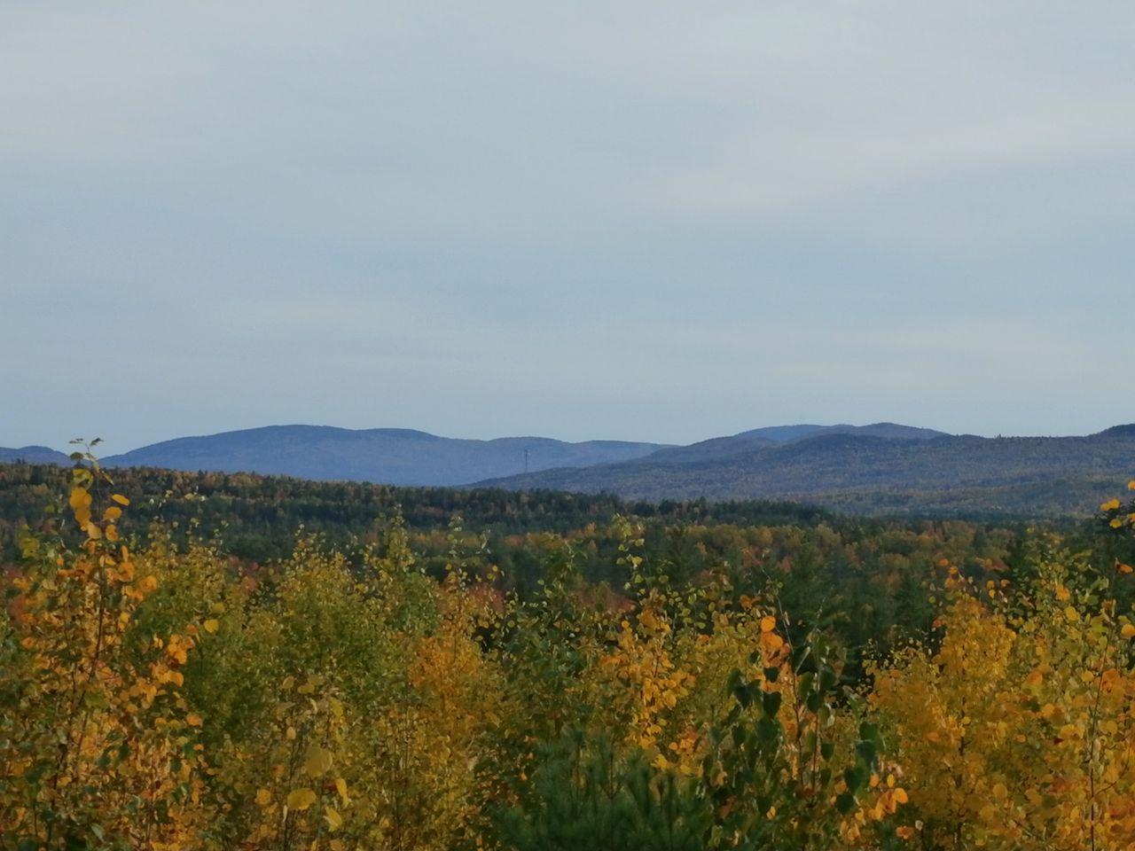 2 West Side Road Dixfield, ME 04224 - Photo 1 of 13 PA080322