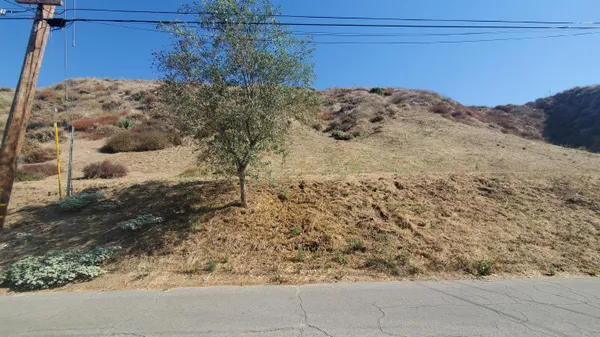 a view of a yard