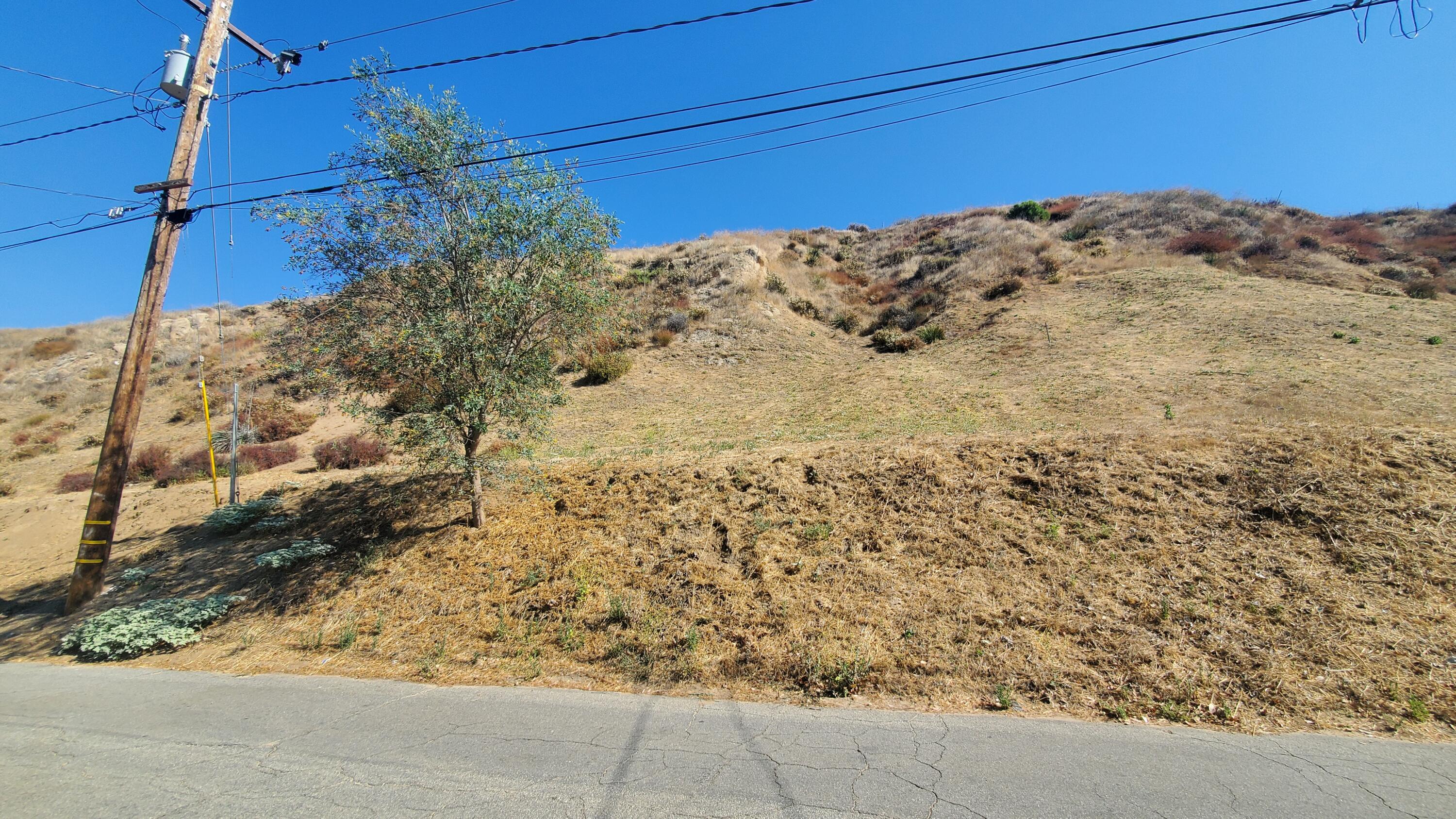 Silver Street Val Verde, CA 91384 - Photo 3 of 14 a view of a dry yard with mountain view