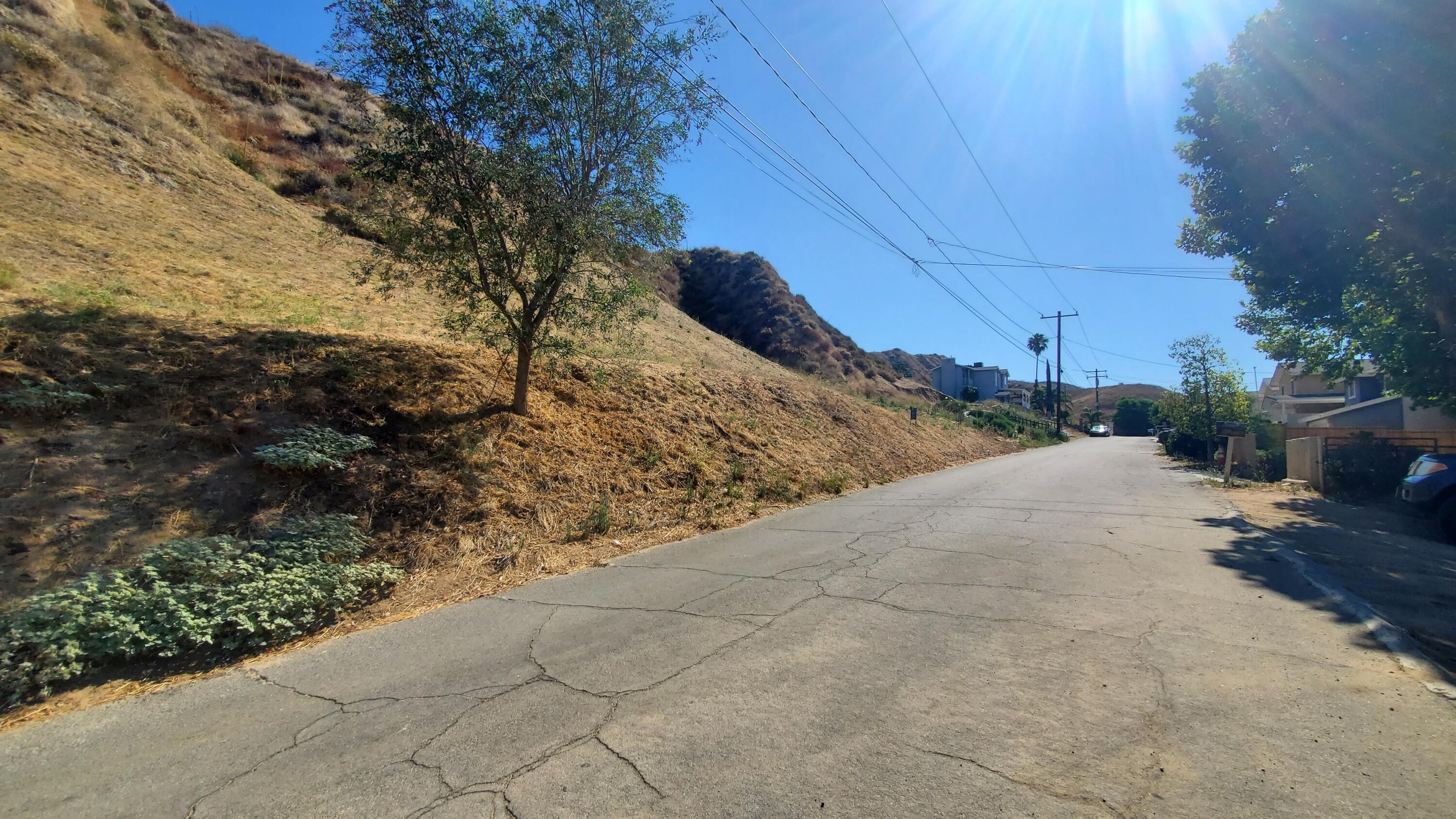 Silver Street Val Verde, CA 91384 - Photo 5 of 14 a view of a yard with plants and a bench