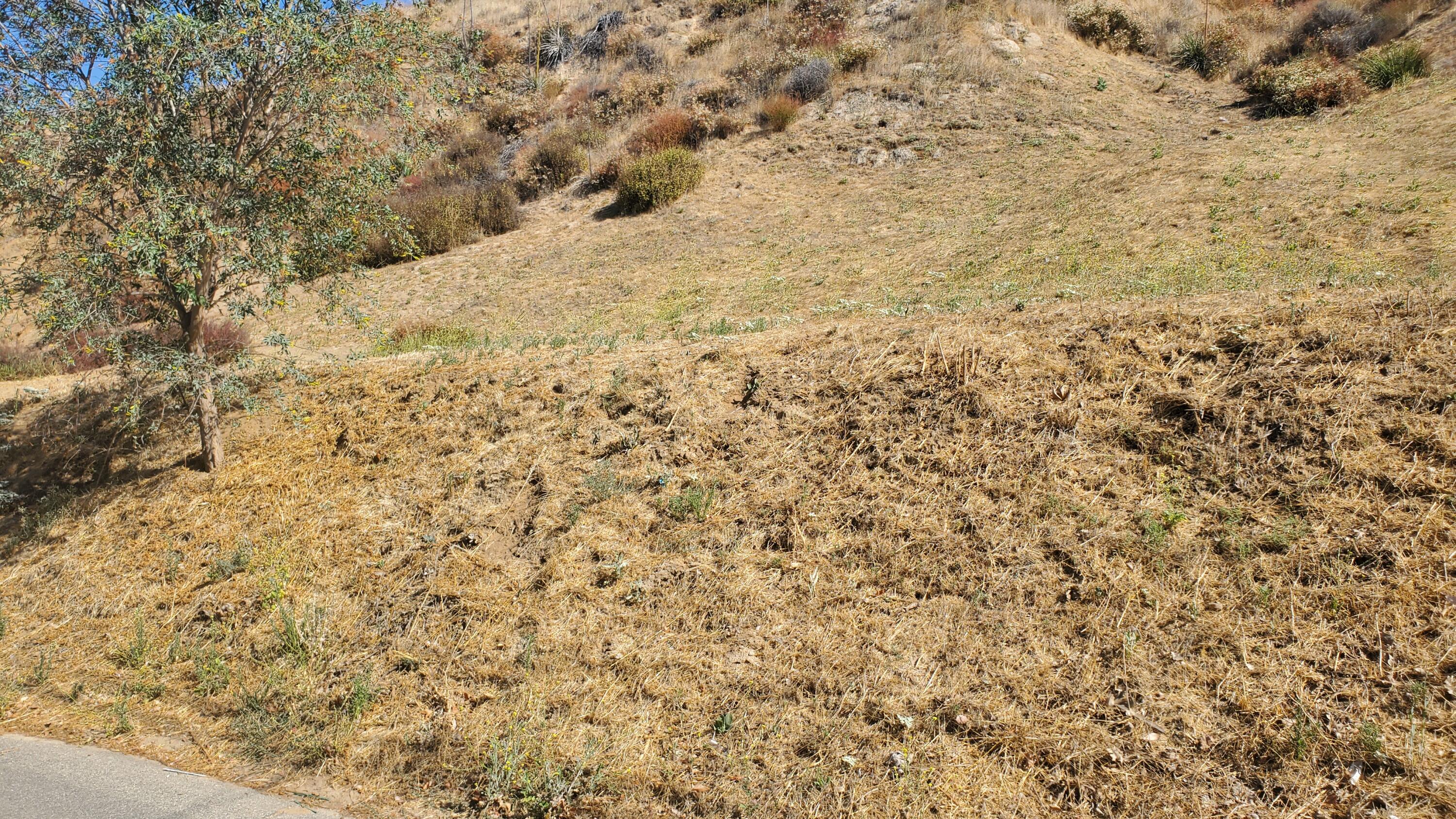 Silver Street Val Verde, CA 91384 - Photo 8 of 14 a view of mountain view