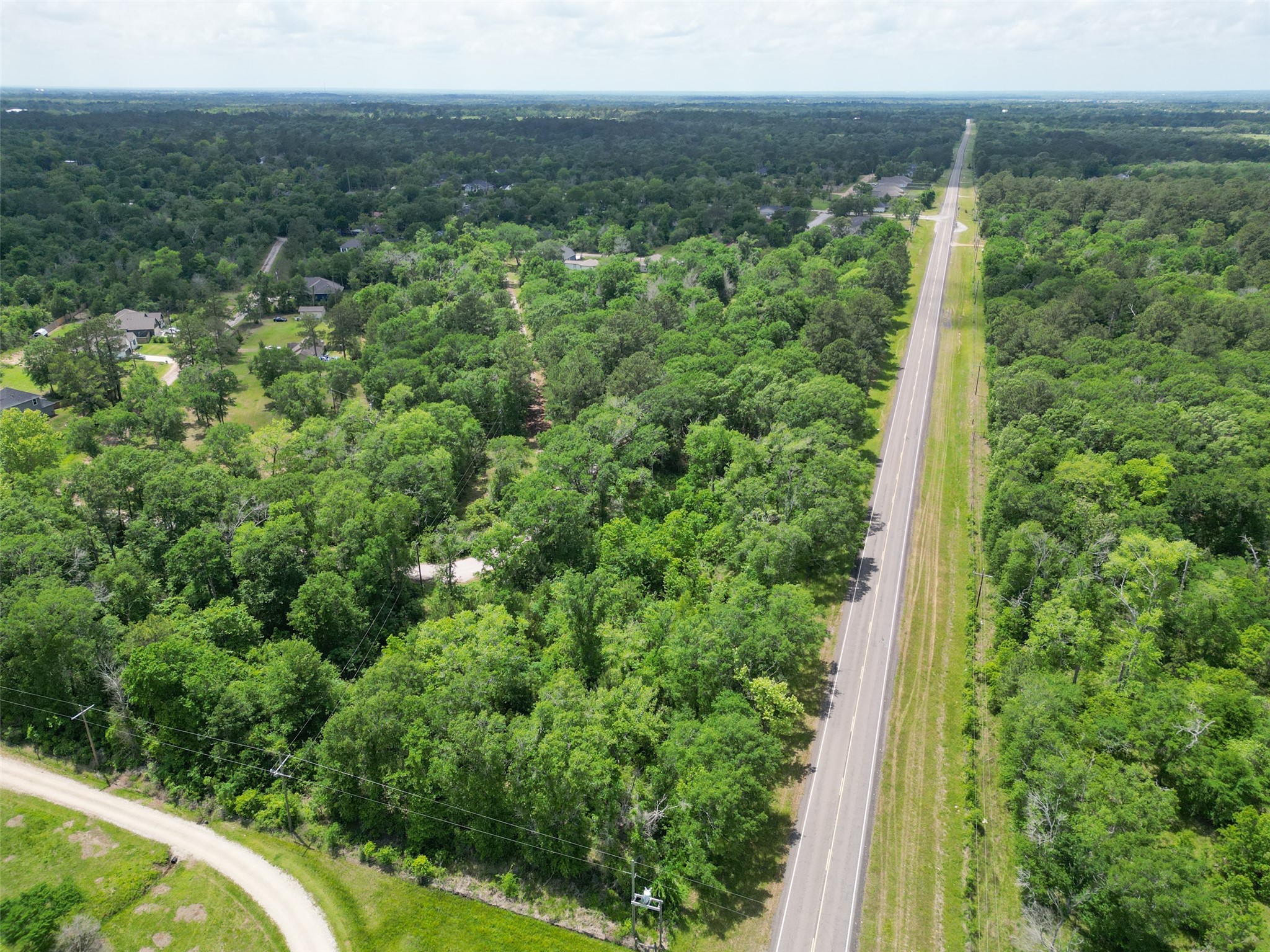 38006 Park View Drive Hempstead, TX 77445 - Photo 12 of 34 a view of a yard with plants and large tree
