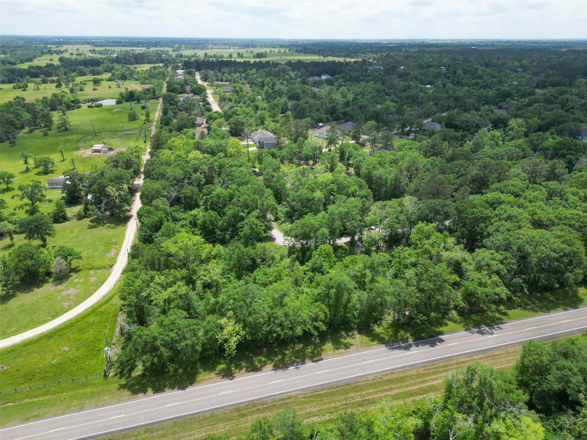 38006 Park View Drive Hempstead, TX 77445 - Photo 15 of 34 a view of a green field with lots of bushes