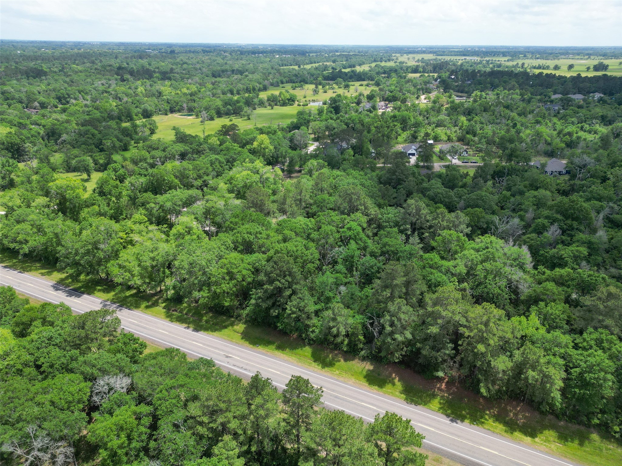 38006 Park View Drive Hempstead, TX 77445 - Photo 20 of 34 a view of a lush green forest with trees in the background