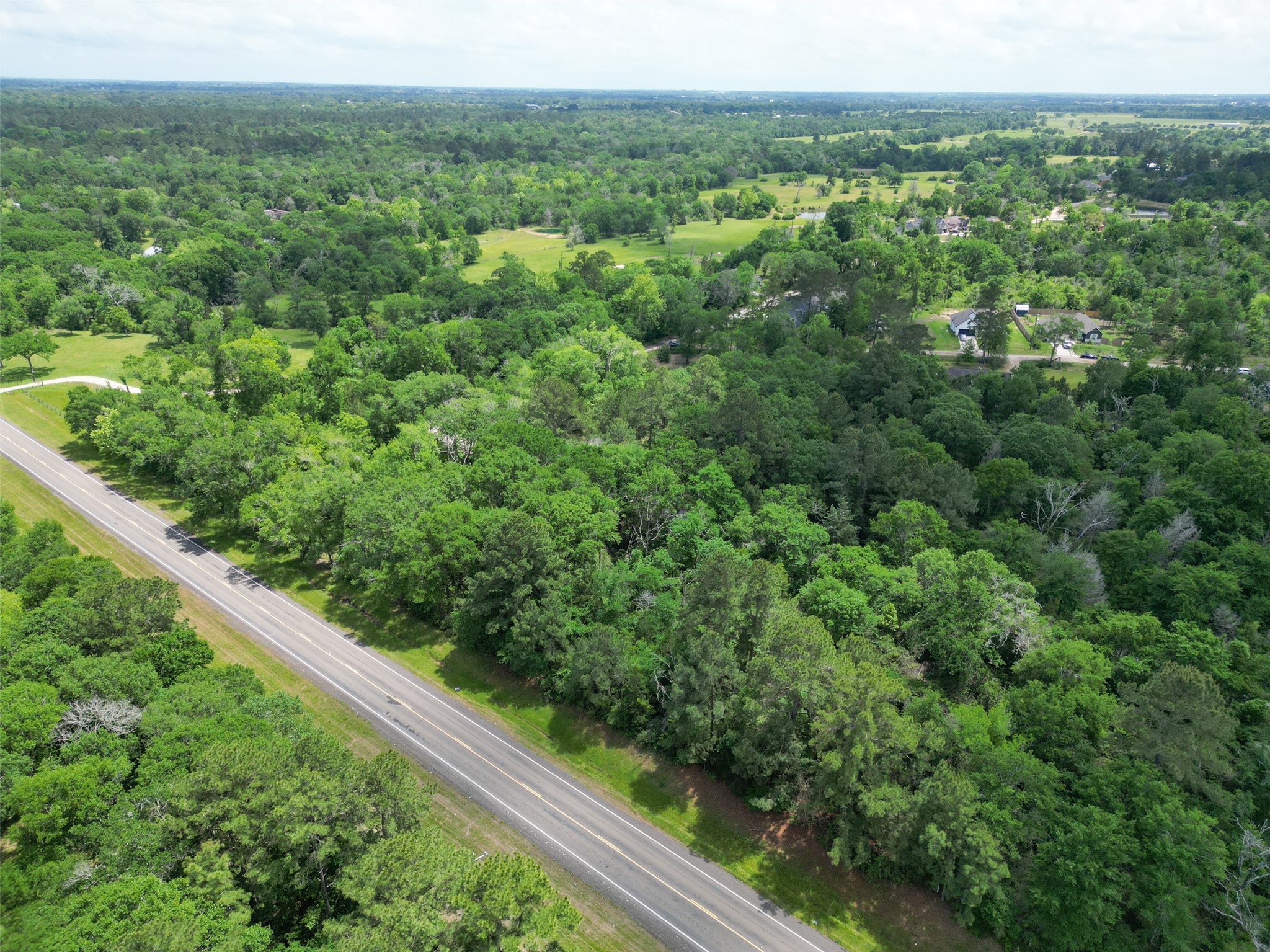 38006 Park View Drive Hempstead, TX 77445 - Photo 21 of 34 a view of a green field with lots of bushes
