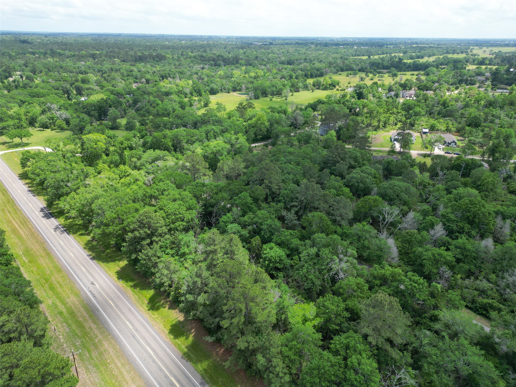 38006 Park View Drive Hempstead, TX 77445 - Photo 22 of 34 a view of a green field with lots of trees