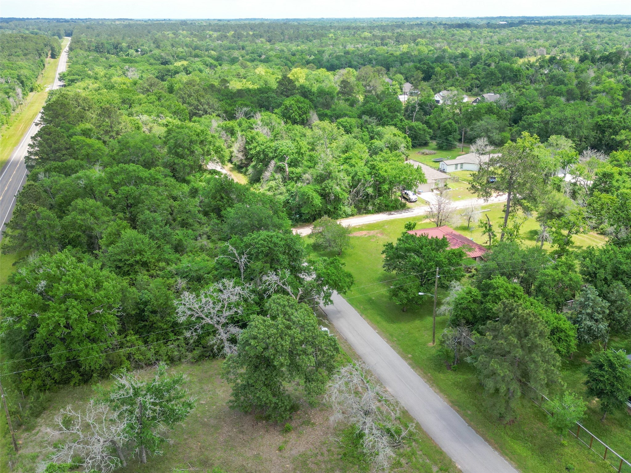 38006 Park View Drive Hempstead, TX 77445 - Photo 28 of 34 a view of a lush green forest with lots of trees