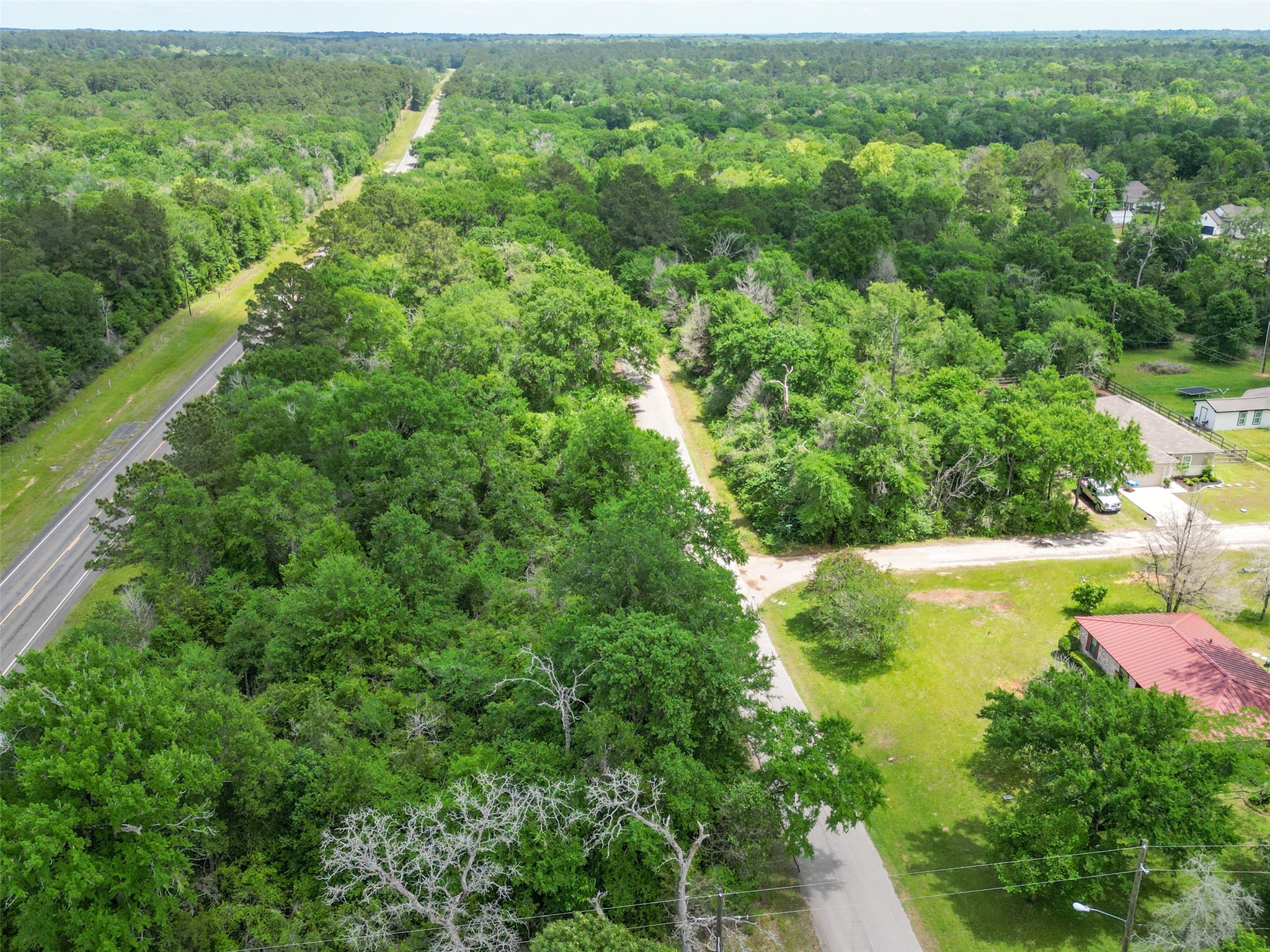38006 Park View Drive Hempstead, TX 77445 - Photo 29 of 34 a view of yard with green space