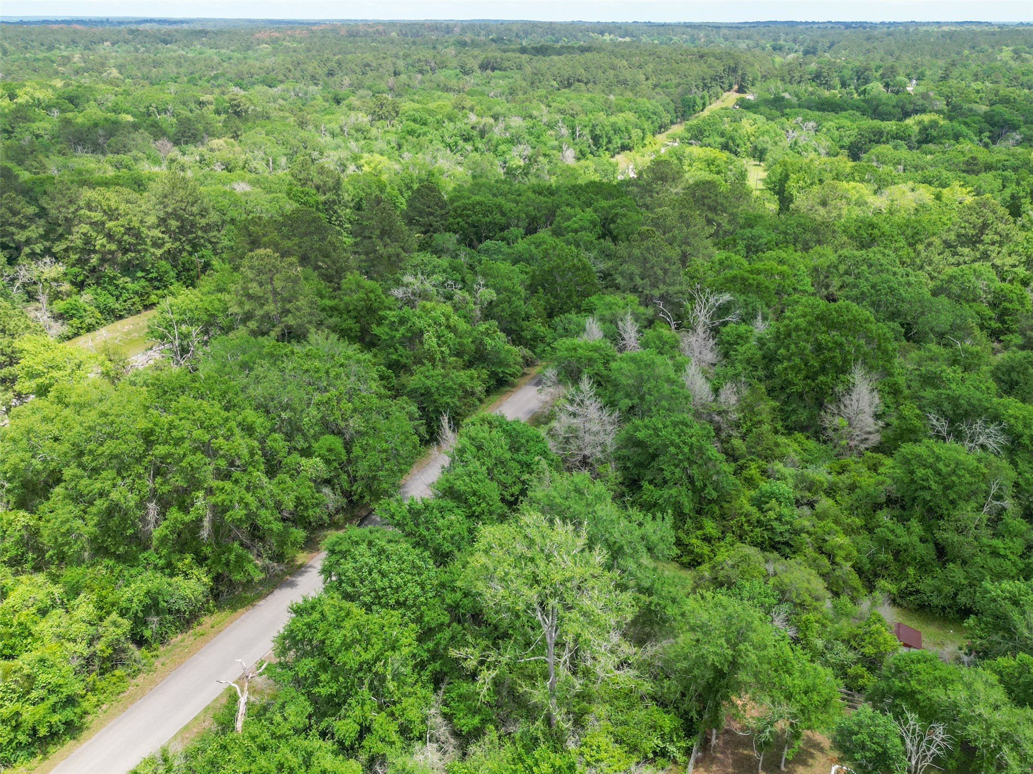 38006 Park View Drive Hempstead, TX 77445 - Photo 33 of 34 an aerial view of residential houses with outdoor space and trees