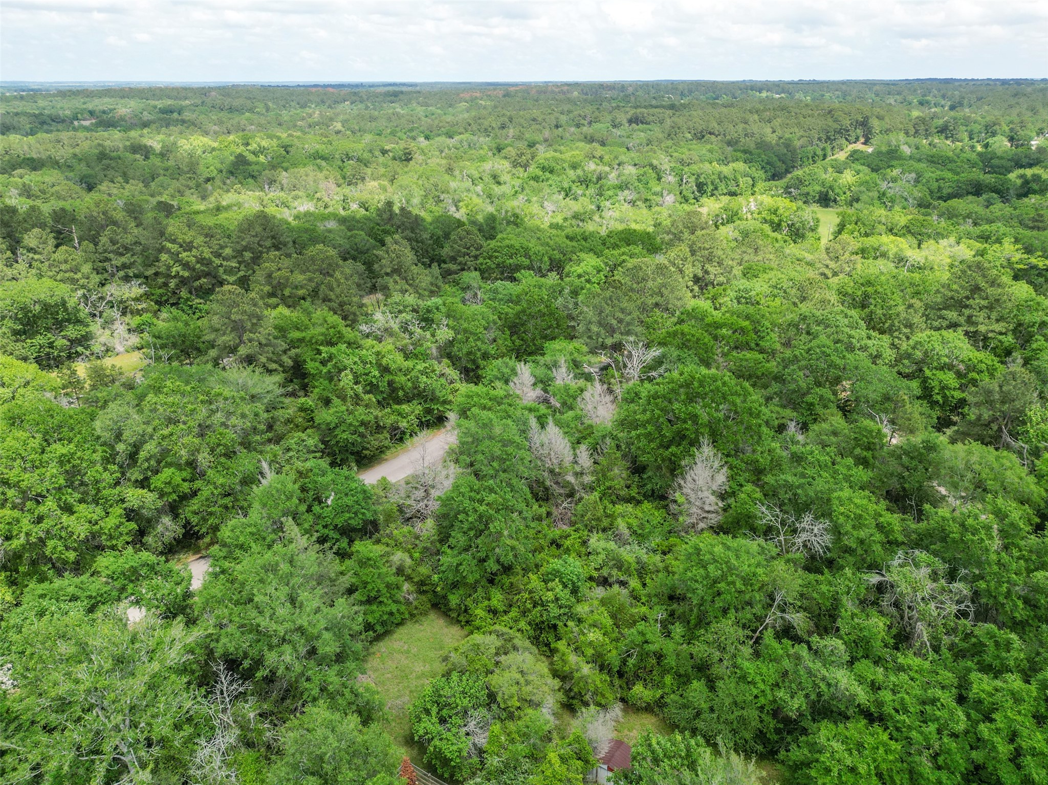 38006 Park View Drive Hempstead, TX 77445 - Photo 34 of 34 a view of a green field with lots of bushes