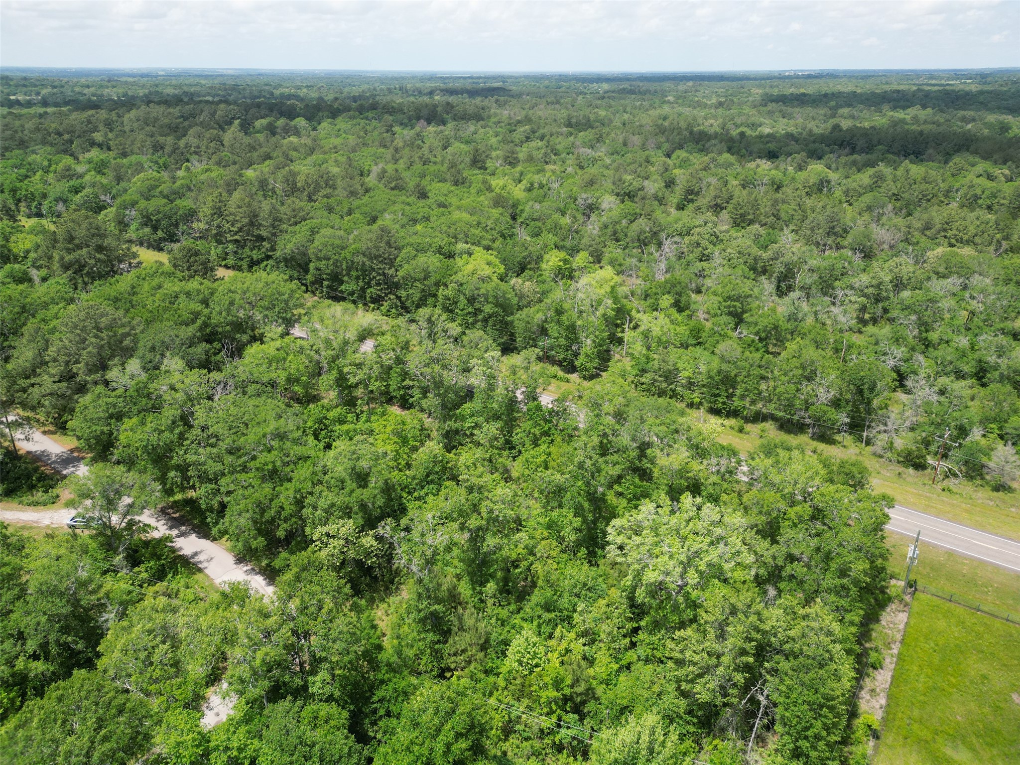 38006 Park View Drive Hempstead, TX 77445 - Photo 6 of 34 a view of a green field with lots of trees in it