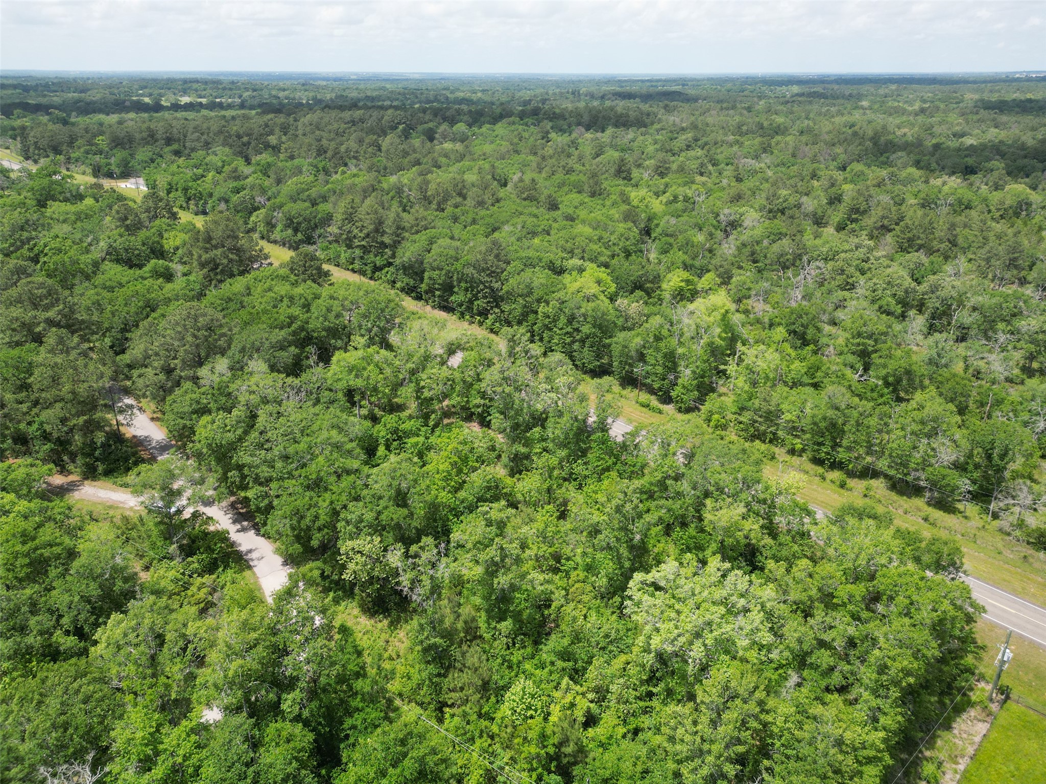38006 Park View Drive Hempstead, TX 77445 - Photo 7 of 34 a view of a green field with lots of bushes