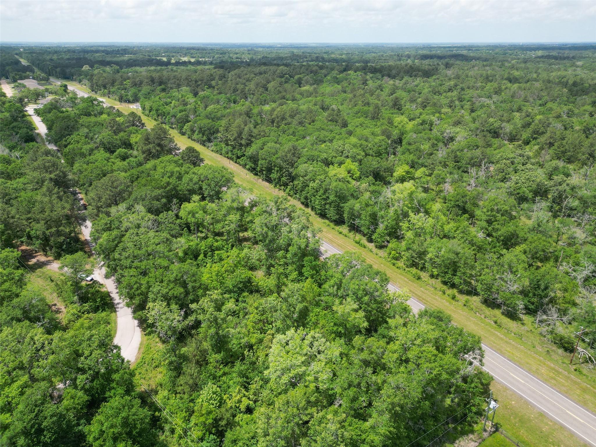 38006 Park View Drive Hempstead, TX 77445 - Photo 8 of 34 a view of a green field with lots of trees