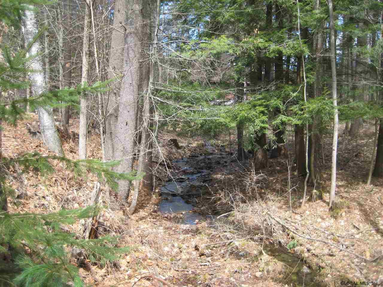 72 Red Wing Road Horicon, NY 12808 - Photo 24 of 28 Photo 24
