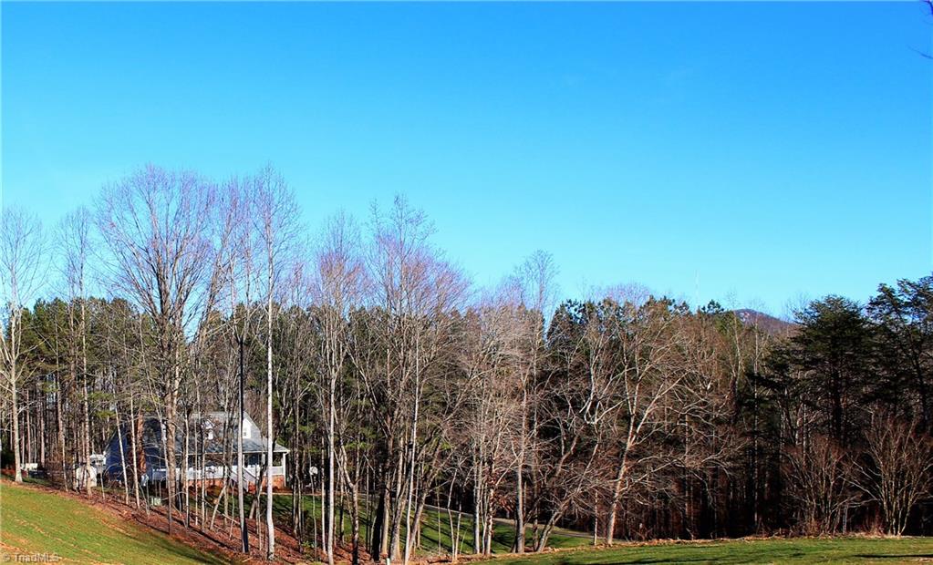 3192 Volunteer Road Pinnacle, NC 27043 - Photo 3 of 30
