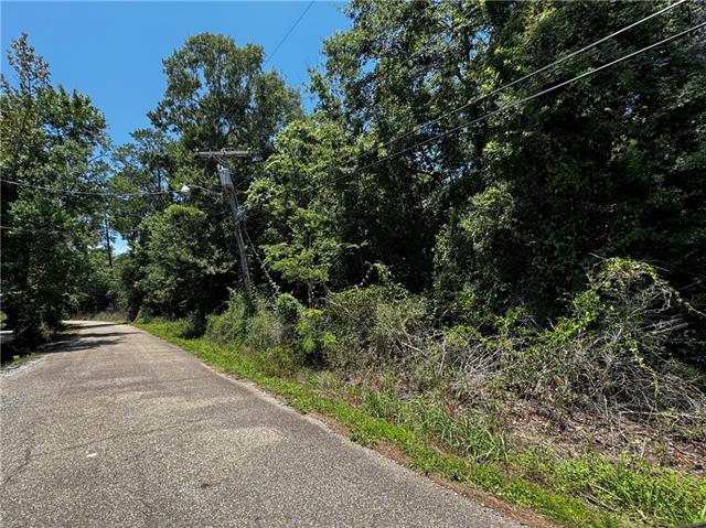 0 Dumas Road Slidell, LA 70460 - Photo 3 of 4