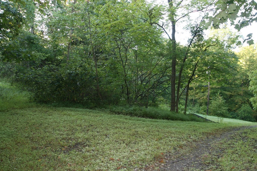 0 Slippery Hill Road Shade Gap, PA 17255 - Photo 2 of 2 Gallery Image 2