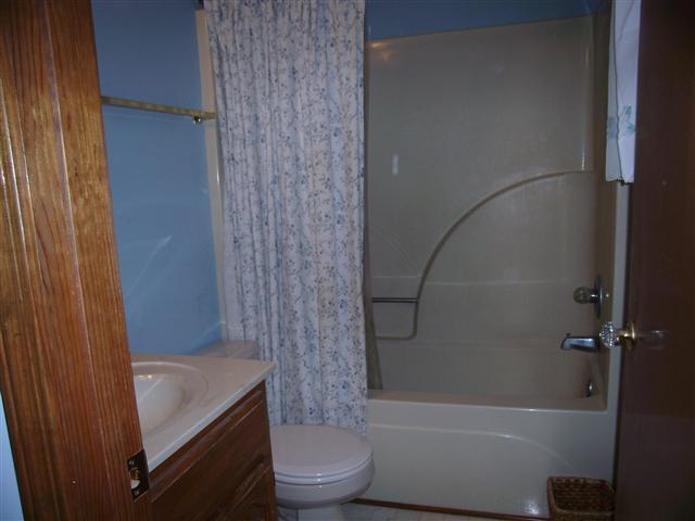 220 Leon Cole Road Dover, TN 37058 - Photo 12 of 20 Master bath offers tub/shower combination