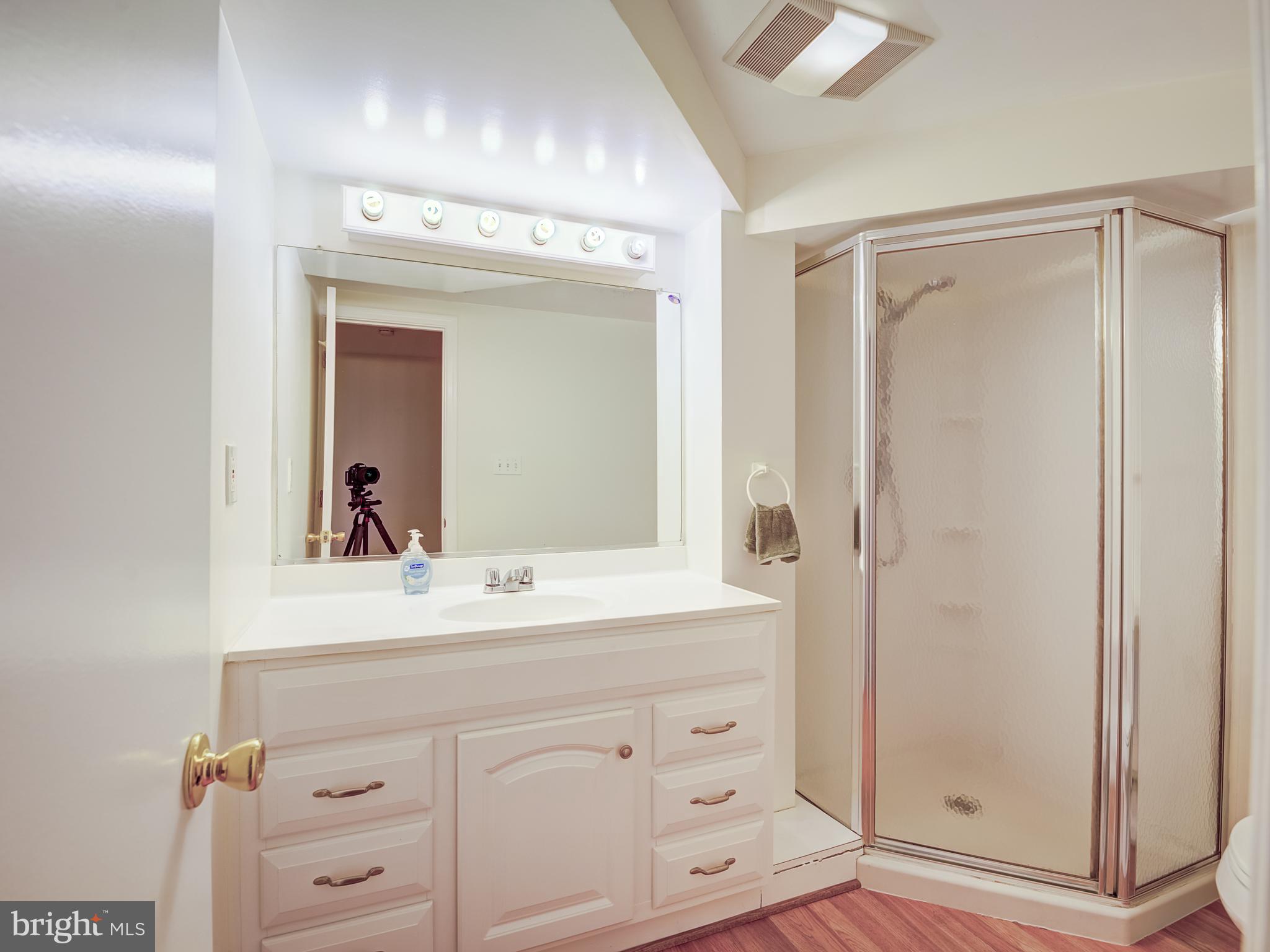 6807 Quebec Court Springfield, VA 22152 - Photo 50 of 59 Lower level bath
