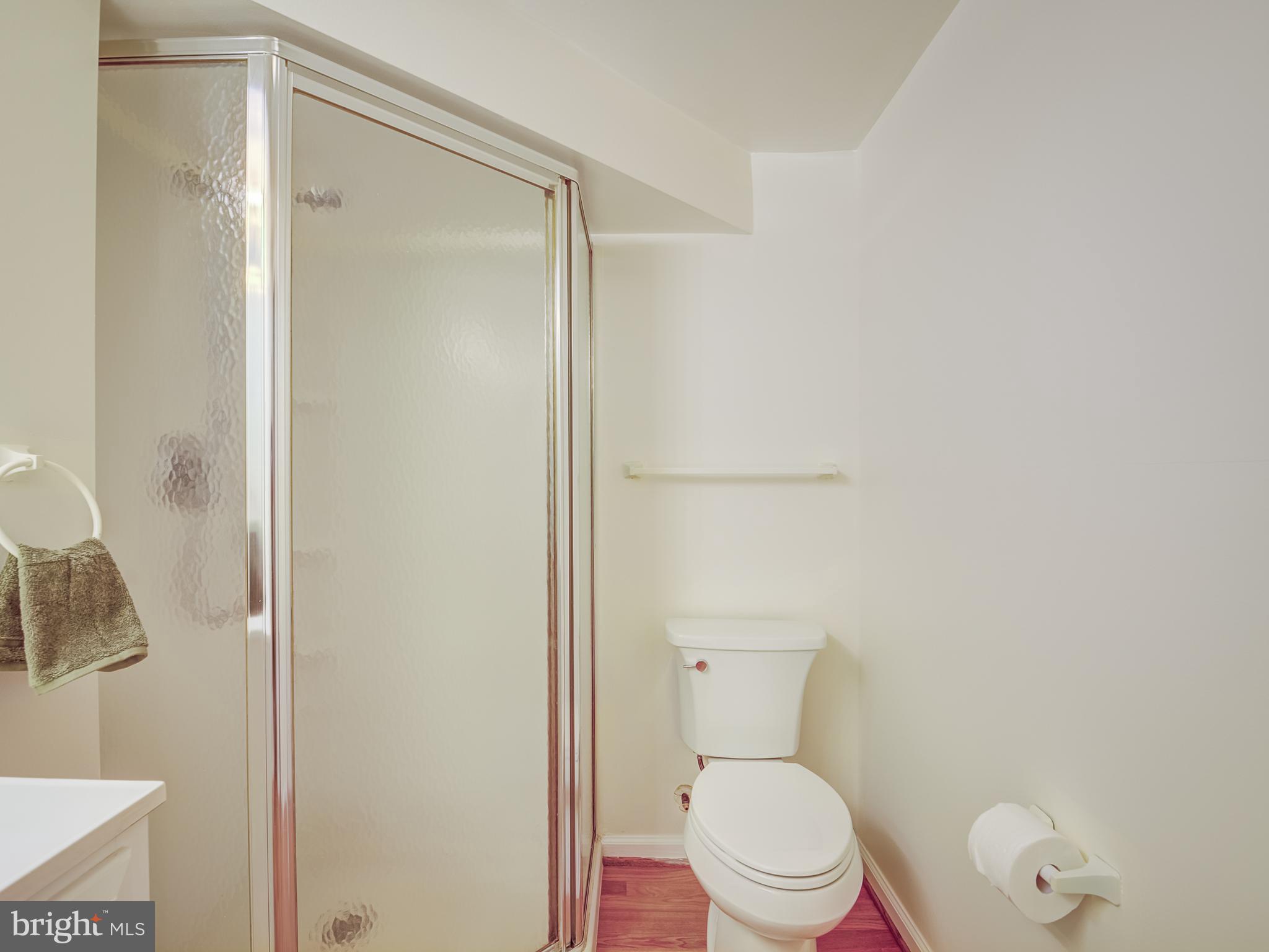 6807 Quebec Court Springfield, VA 22152 - Photo 52 of 59 Lower bath 3rd view