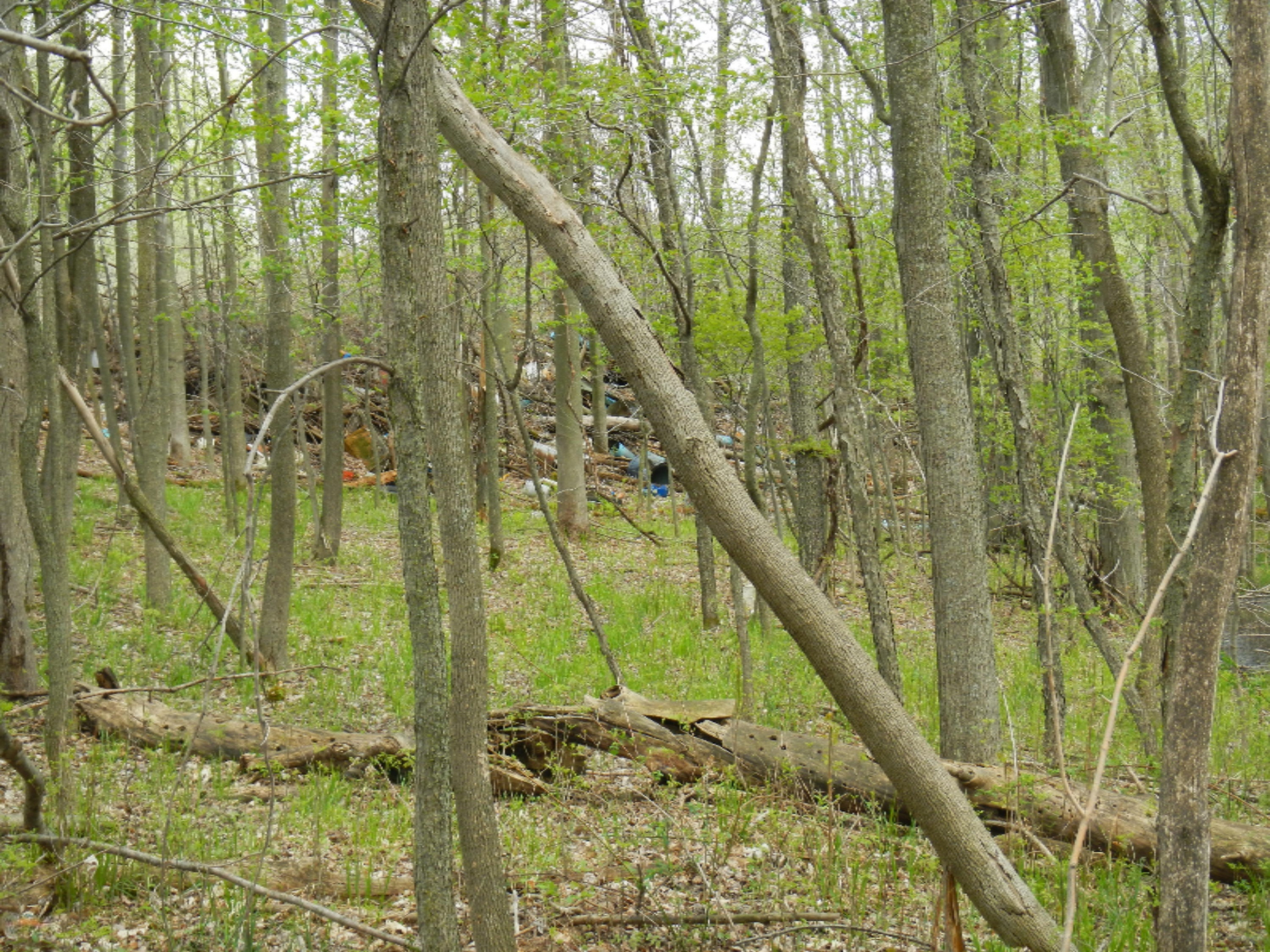 East Hawley Road Scottville, MI 49454 - Photo 7 of 9 DSCN0477