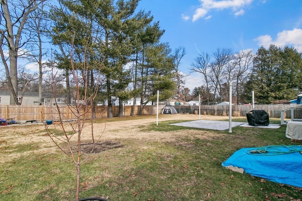 52 Portulaca Drive Springfield, MA 01129 - Photo 35 of 36 a view of yard with tree