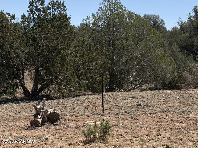 56385 North Bridge Canyon Road Seligman, AZ 86337 - Photo 10 of 10 IMG_1562