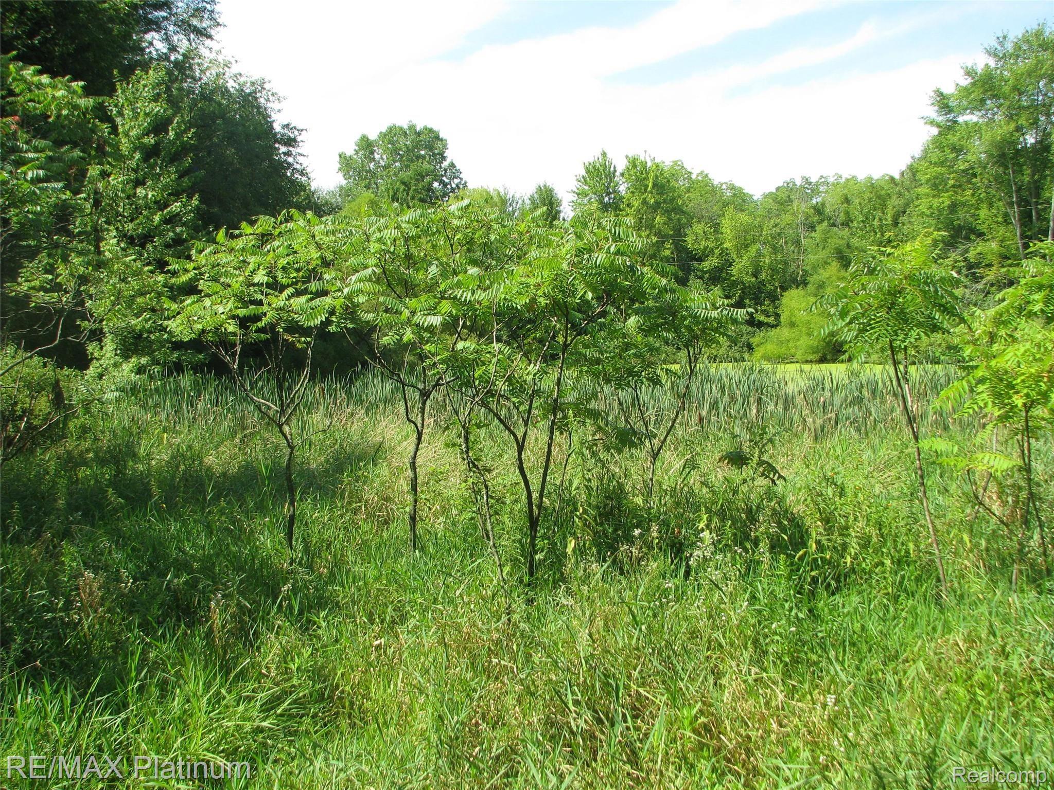 11392 Shepherd Road Onsted, MI 49265 - Photo 28 of 32 IMG_3826.JPG