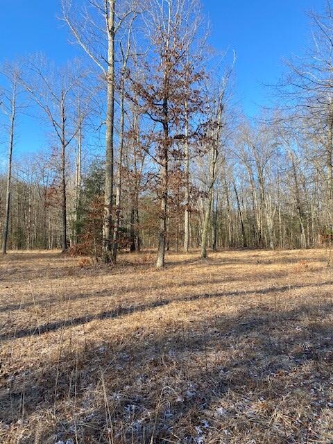 142 Cole Road Deer Lodge, TN 37726 - Photo 41 of 77 20220322195754293551000000-o