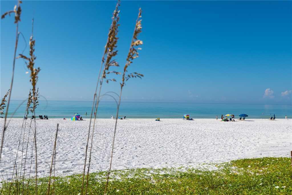 244 Hilltop Drive Santa Rosa Beach, FL 32459 - Photo 20 of 20 a view of a backyard