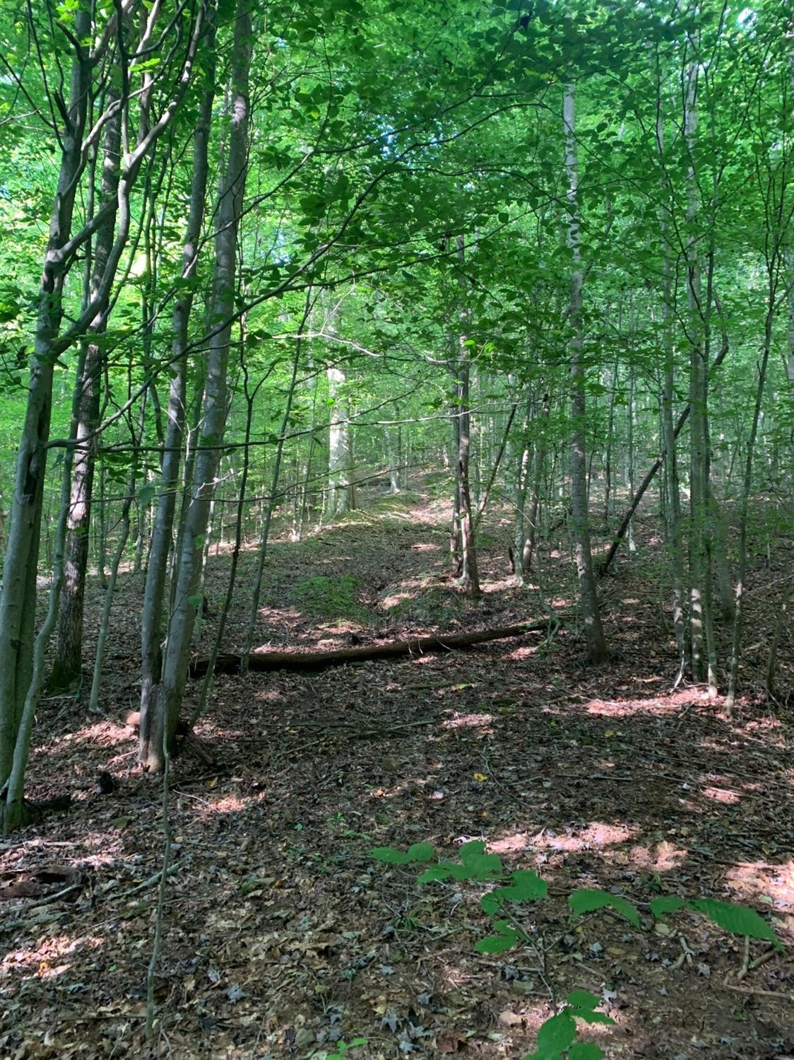 0 Upper Cane Creek Road Stanton, KY 40380 - Photo 22 of 34 Photo 23