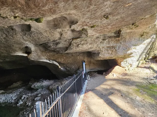 $1,900,000 | 295 Cave Hollow Road, Dowelltown, TN 37059