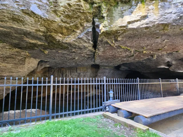 $1,900,000 | 295 Cave Hollow Road, Dowelltown, TN 37059