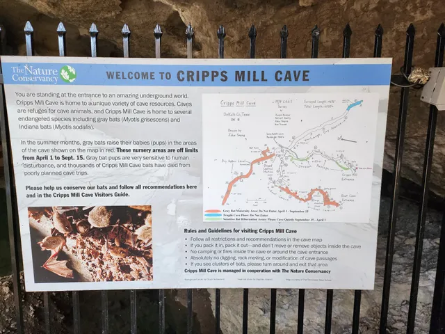 $1,900,000 | 295 Cave Hollow Road, Dowelltown, TN 37059