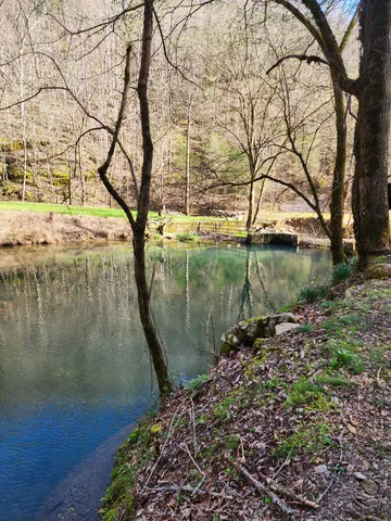 $1,900,000 | 295 Cave Hollow Road, Dowelltown, TN 37059