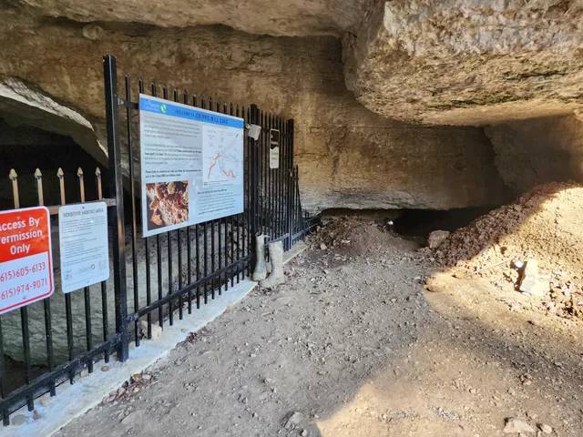 $1,900,000 | 295 Cave Hollow Road, Dowelltown, TN 37059