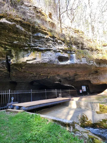 $1,900,000 | 295 Cave Hollow Road, Dowelltown, TN 37059