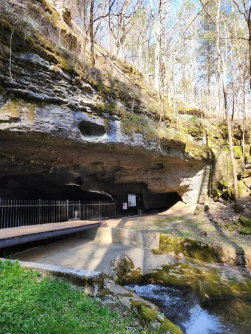 $1,900,000 | 295 Cave Hollow Road, Dowelltown, TN 37059