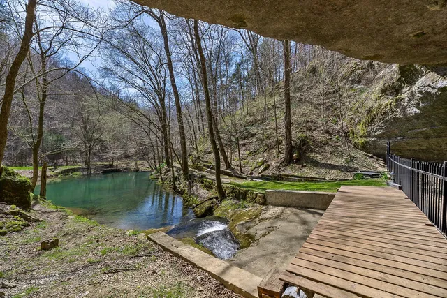 $1,900,000 | 295 Cave Hollow Road, Dowelltown, TN 37059