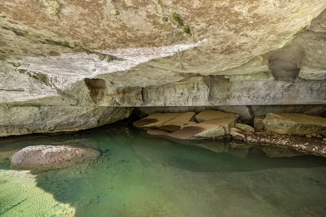 $1,900,000 | 295 Cave Hollow Road, Dowelltown, TN 37059