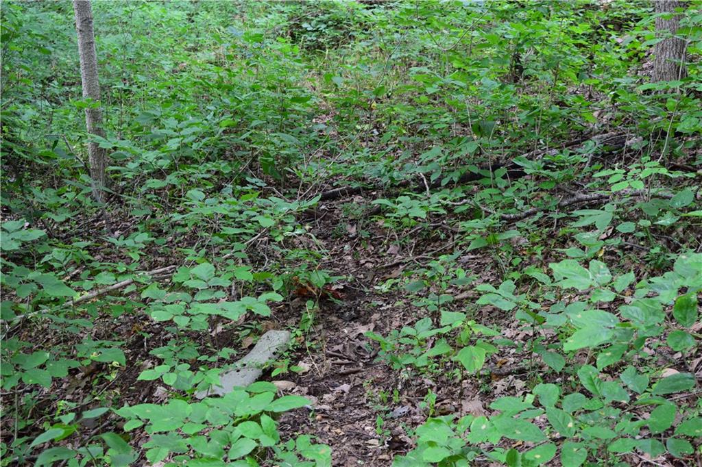 North Side Walnut Ridge Road Salem, IN 47167 - Photo 15 of 16