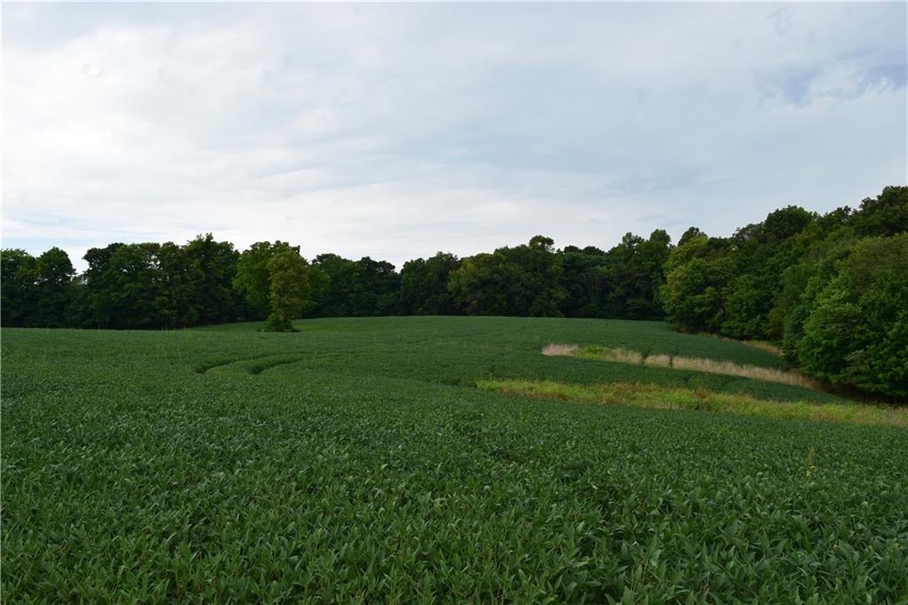 North Side Walnut Ridge Road Salem, IN 47167 - Photo 6 of 16
