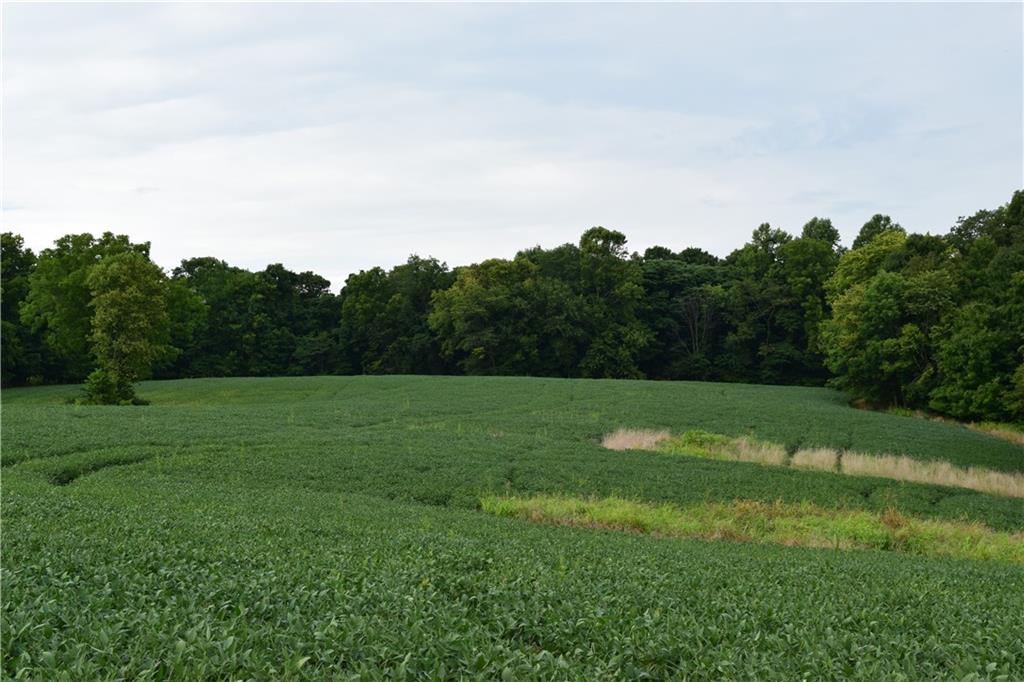 North Side Walnut Ridge Road Salem, IN 47167 - Photo 7 of 16