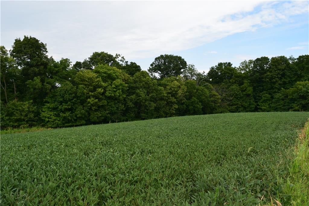 North Side Walnut Ridge Road Salem, IN 47167 - Photo 8 of 16
