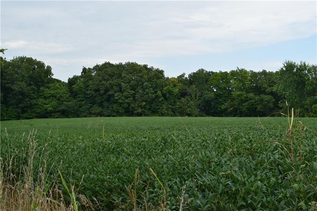 North Side Walnut Ridge Road Salem, IN 47167 - Photo 10 of 16